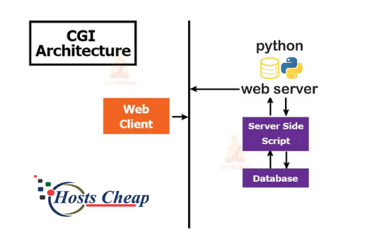 Python Web Server Hosting Setup Service